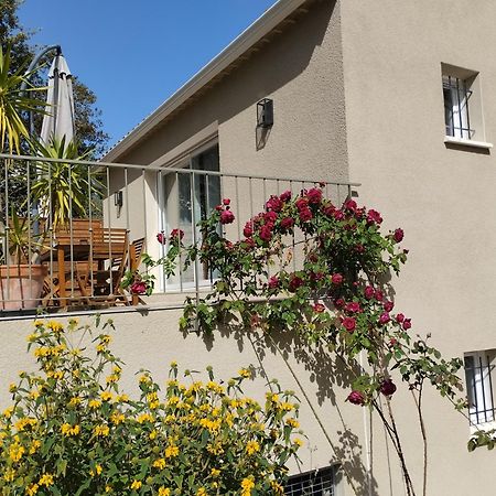 Charmante Maison Avec Jardin Aux Portes Des Gorges De L'Ardeche Saint-Julien-de-Peyrolas Dış mekan fotoğraf